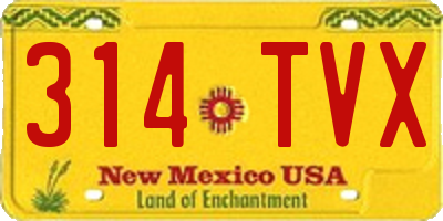 NM license plate 314TVX