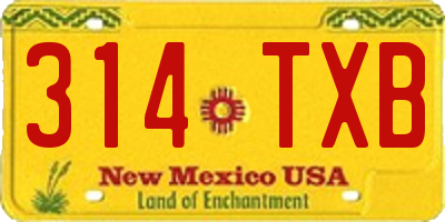 NM license plate 314TXB