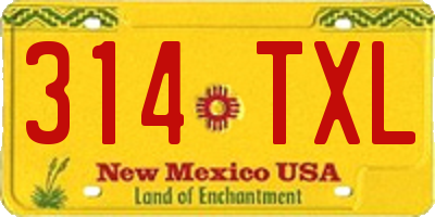 NM license plate 314TXL