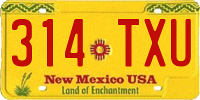 NM license plate 314TXU