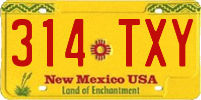 NM license plate 314TXY