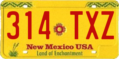 NM license plate 314TXZ