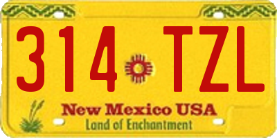 NM license plate 314TZL