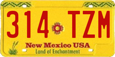 NM license plate 314TZM