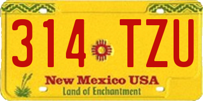 NM license plate 314TZU