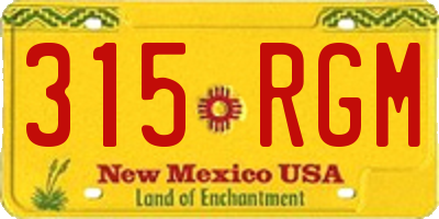 NM license plate 315RGM