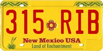 NM license plate 315RIB
