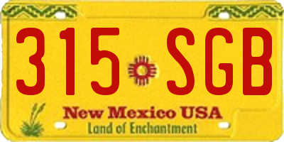 NM license plate 315SGB