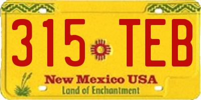 NM license plate 315TEB