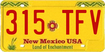 NM license plate 315TFV