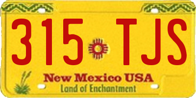 NM license plate 315TJS