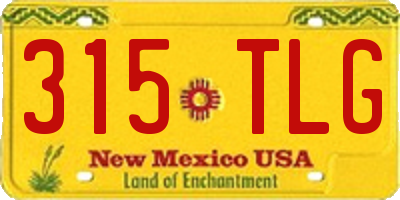 NM license plate 315TLG