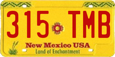 NM license plate 315TMB