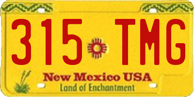 NM license plate 315TMG