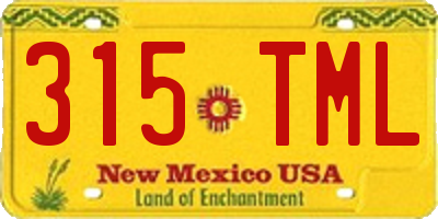 NM license plate 315TML