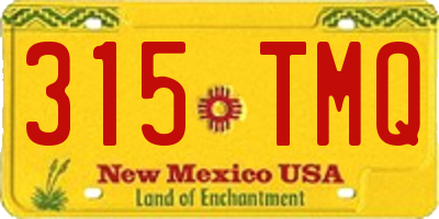 NM license plate 315TMQ