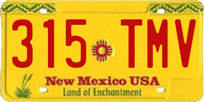 NM license plate 315TMV