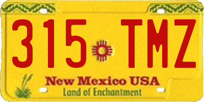 NM license plate 315TMZ
