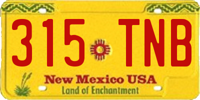 NM license plate 315TNB