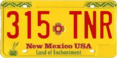 NM license plate 315TNR