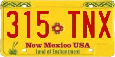 NM license plate 315TNX