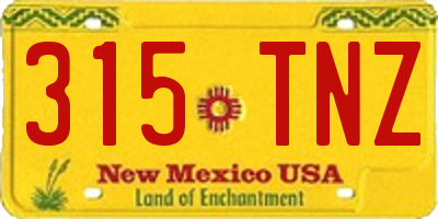 NM license plate 315TNZ