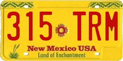 NM license plate 315TRM