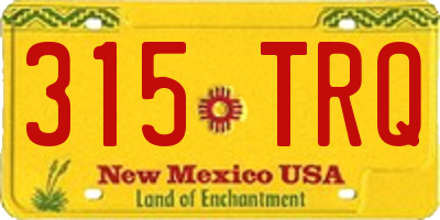 NM license plate 315TRQ