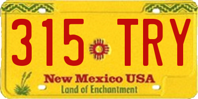 NM license plate 315TRY