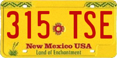 NM license plate 315TSE