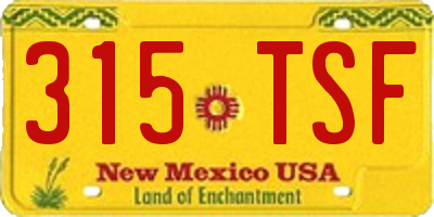 NM license plate 315TSF