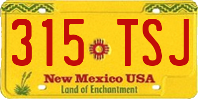 NM license plate 315TSJ