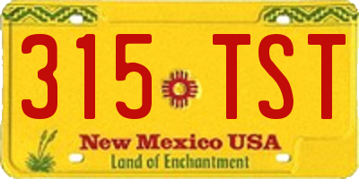 NM license plate 315TST