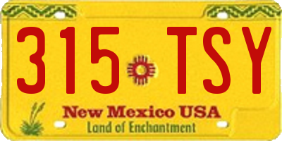 NM license plate 315TSY
