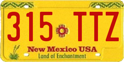 NM license plate 315TTZ