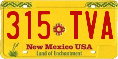 NM license plate 315TVA