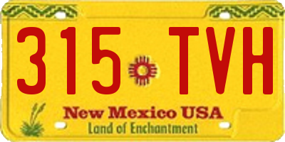 NM license plate 315TVH
