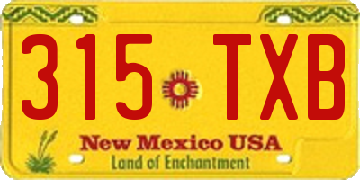 NM license plate 315TXB