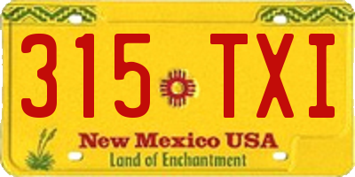 NM license plate 315TXI