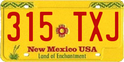 NM license plate 315TXJ