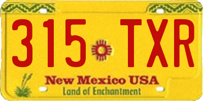 NM license plate 315TXR
