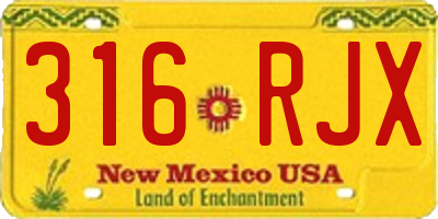 NM license plate 316RJX