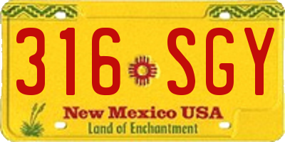 NM license plate 316SGY