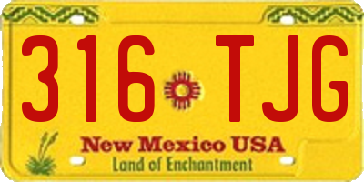 NM license plate 316TJG