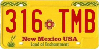 NM license plate 316TMB