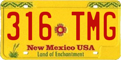 NM license plate 316TMG