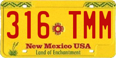 NM license plate 316TMM