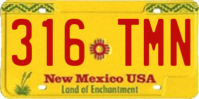 NM license plate 316TMN