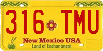 NM license plate 316TMU