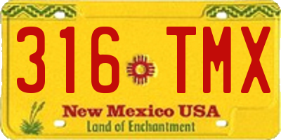NM license plate 316TMX